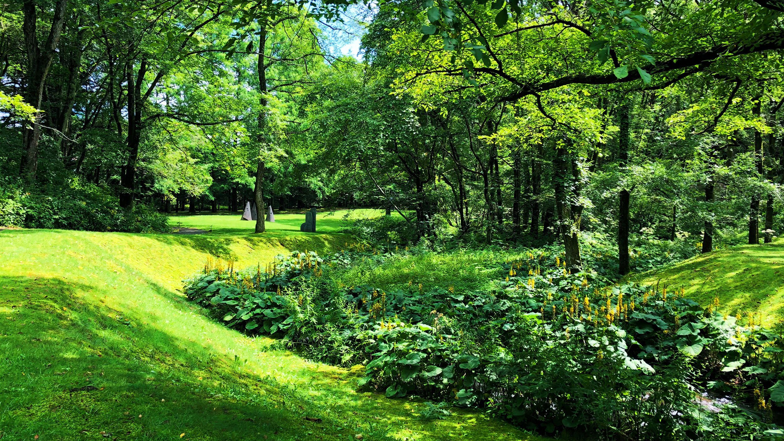 森の囁き 無音の痕跡